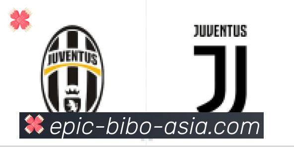 必博bibo官网官方平台合作伙伴
